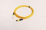 MPO Jumper cord